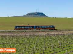 Encante-se no Trem do Pampa, Vinícola Almadén e Compras nos Free Shops de Rivera
